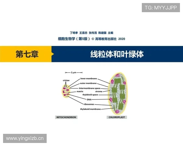 体育数据中心驱动下的全方位竞技分析与决策支持体系 - 副本 - 副本 体育数据中心驱动下的全方位竞技分析与决策支持体系 - 副本 - 副本